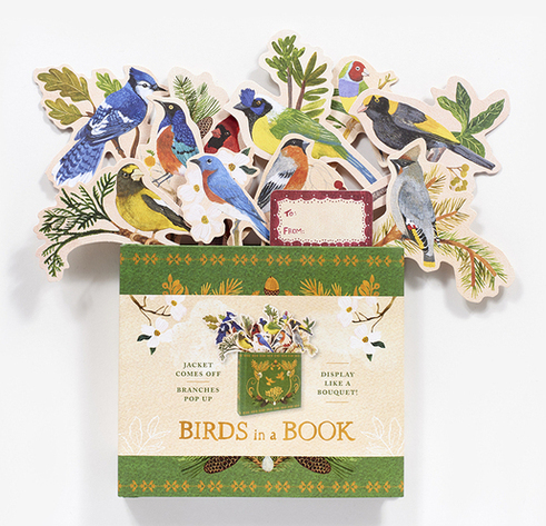 Birds in a Book (A Bouquet in a Book). Jacket Comes Off. Branches Pop Up. Display Like a Bouquet! Birds in a Book (A Bouquet in a Book). Jacket Comes Off. Branches Pop Up. Display Like a Bouquet!