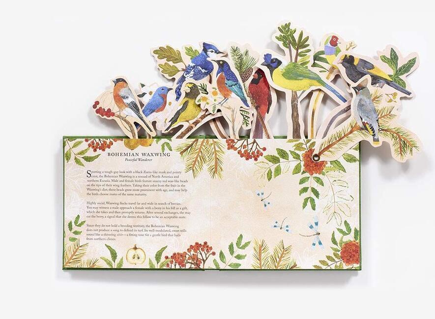 Birds in a Book (A Bouquet in a Book). Jacket Comes Off. Branches Pop Up. Display Like a Bouquet! Birds in a Book (A Bouquet in a Book). Jacket Comes Off. Branches Pop Up. Display Like a Bouquet!