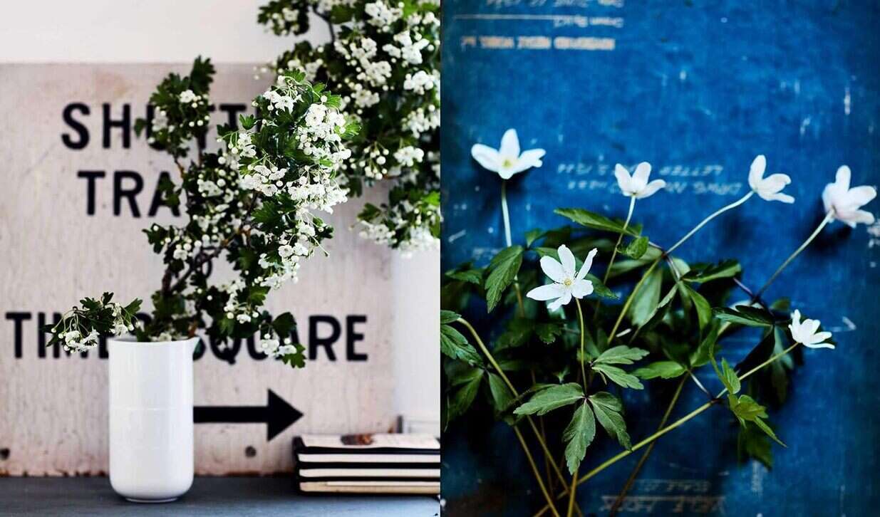 Inspired by Nature. Creating a personal and natural interior Inspired by Nature. Creating a personal and natural interior