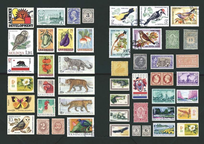 The Curious Collections Sticker Book The Curious Collections Sticker Book