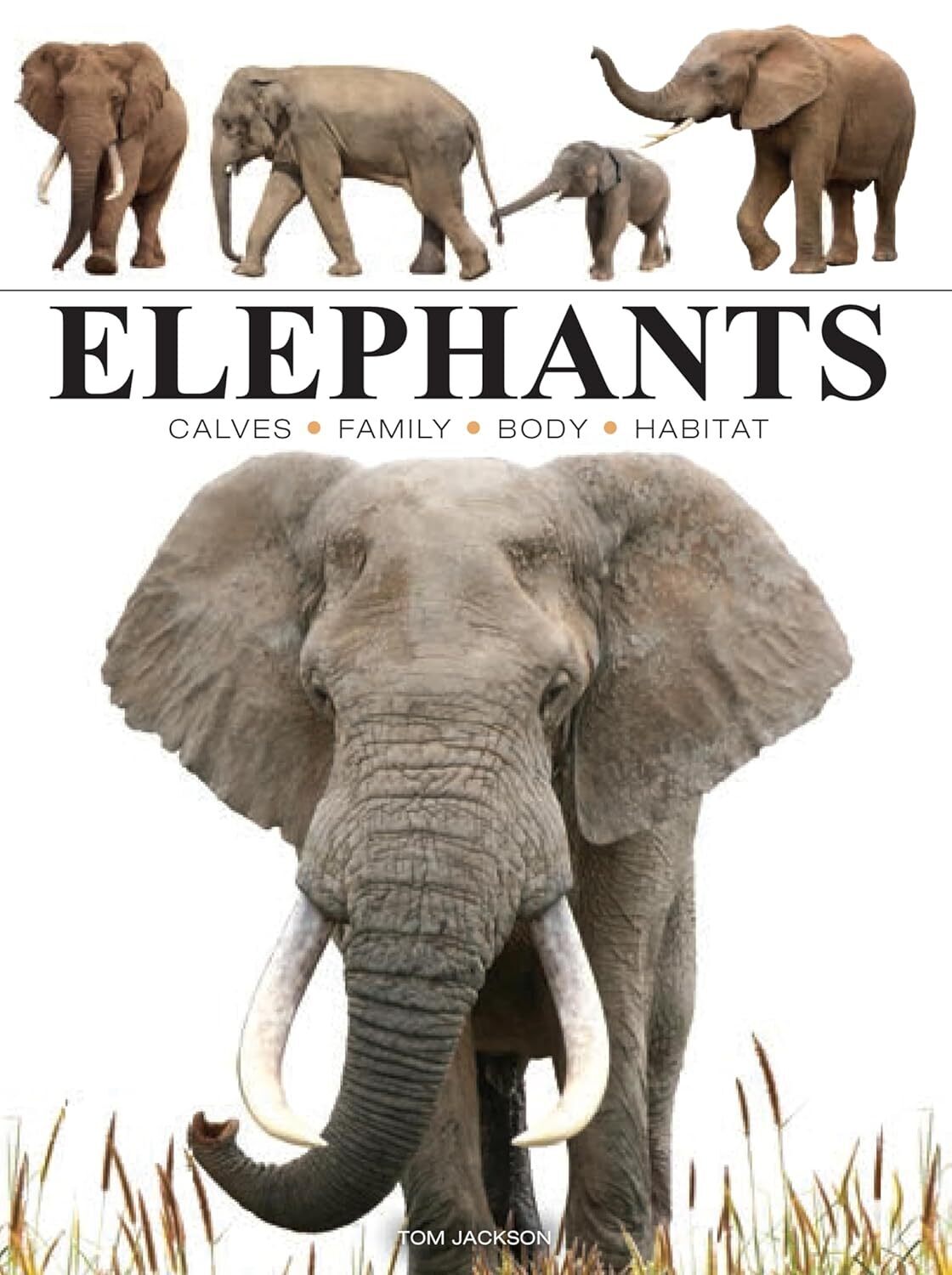 Elephants Elephants