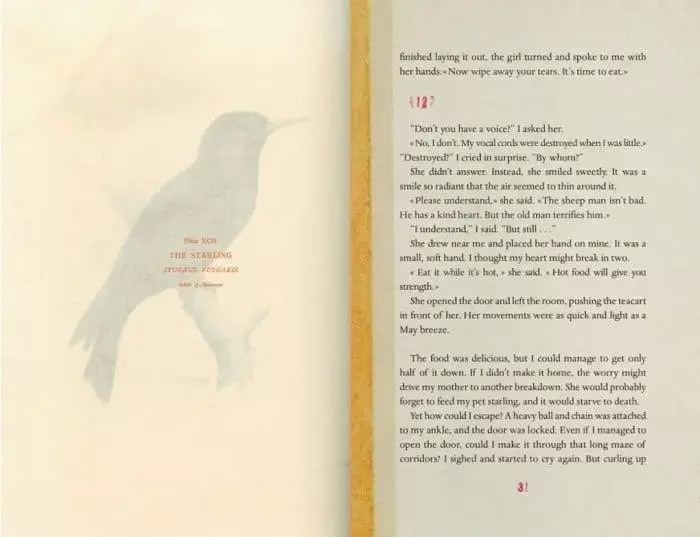 The Strange Library. Murakami Haruki The Strange Library. Murakami Haruki