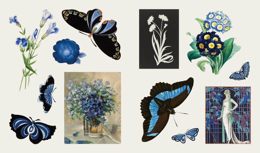 The Sticker Treasury of Blooms and Butterflies The Sticker Treasury of Blooms and Butterflies