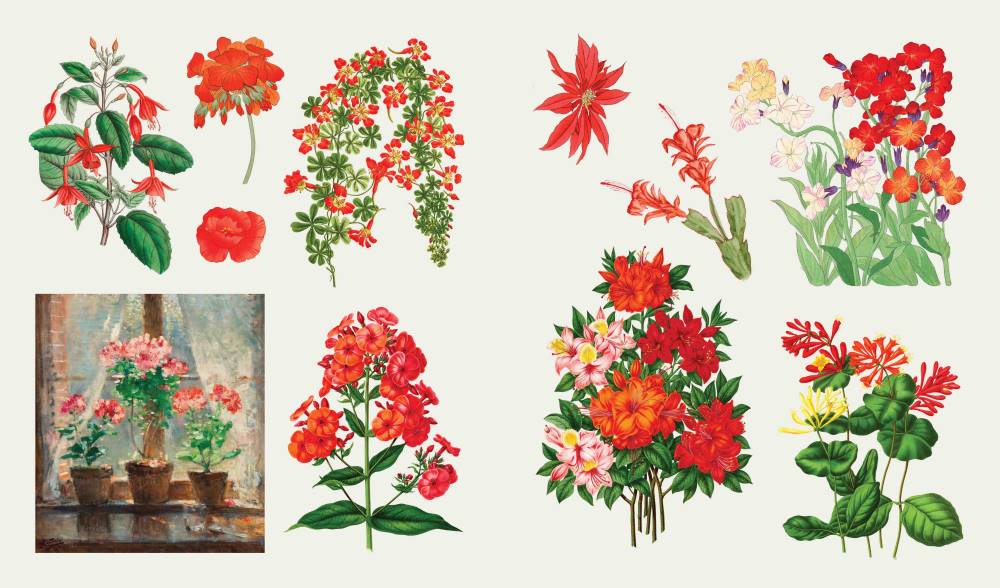 The Sticker Treasury of Blooms and Butterflies The Sticker Treasury of Blooms and Butterflies