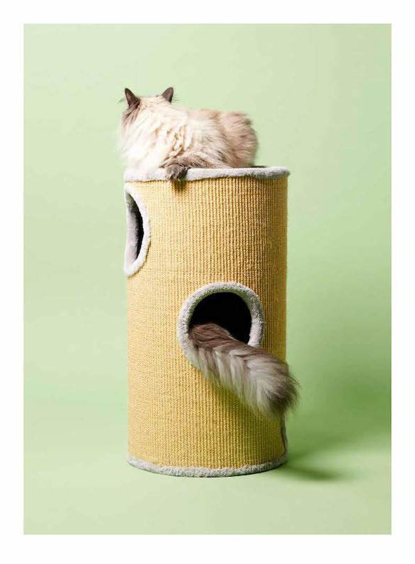 Pascale Weber: For Cats Only / Nur fur Katzen (Bilingual edition) Pascale Weber: For Cats Only / Nur fur Katzen (Bilingual edition)