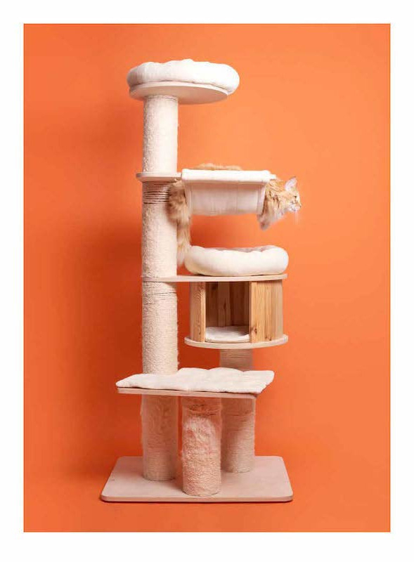 Pascale Weber: For Cats Only / Nur fur Katzen (Bilingual edition) Pascale Weber: For Cats Only / Nur fur Katzen (Bilingual edition)