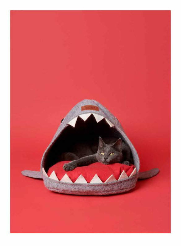 Pascale Weber: For Cats Only / Nur fur Katzen (Bilingual edition) Pascale Weber: For Cats Only / Nur fur Katzen (Bilingual edition)