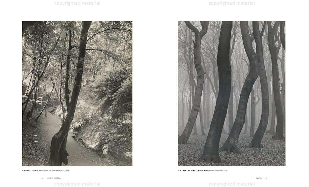 Before the Fall. German and Austrian Art in the 1930s Before the Fall. German and Austrian Art in the 1930s