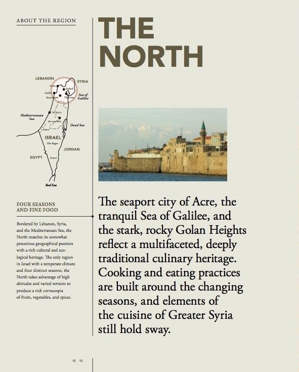Divine Food : Food Culture and Recipes from Israel and Palestine Divine Food : Food Culture and Recipes from Israel and Palestine